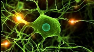 001-AGRON-BIOLOGIA GENERAL