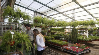 016-AG-INSTALACIÓN Y MANTENIMIENTO DE VIVEROS